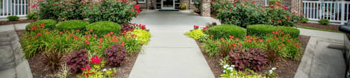 Lovely flowerbeds in front of our office