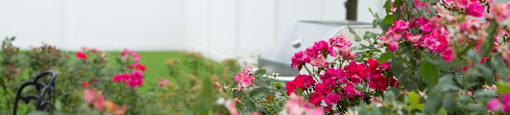 Stop and smell the beautiful flowers found around our community