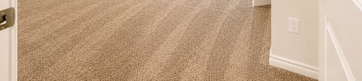 A room with a ceiling fan and carpeted floor.