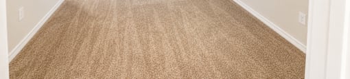 A room with a ceiling fan and carpeted floor.