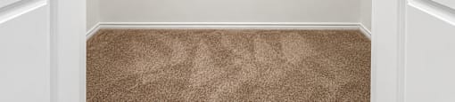 A white closet with a carpeted floor and a shelf.