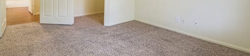 A room with a carpeted floor and two white doors.