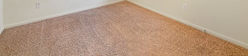 A room with a window and carpeted floor.