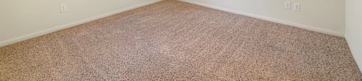 A room with a carpeted floor and a ceiling fan.