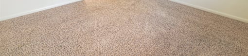 A room with a carpeted floor and a ceiling fan.