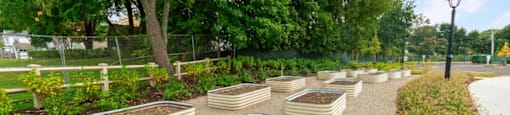 a row of white planters filled with plants in a park at Beverly Village for Living & the Arts Apartments, Beverly, 01915