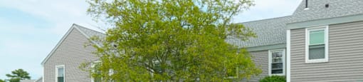 Outdoor Green Space at The Oak at Island Creek Village, Massachusetts