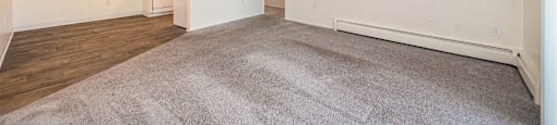 the living room of an apartment with a carpeted floor and white walls