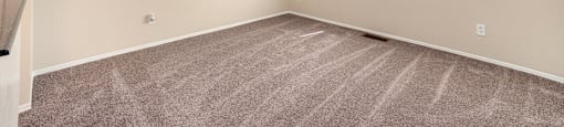 a bedroom with carpet and a window