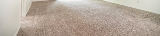 A room with carpeted floor and a window.