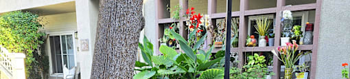 A tree in a garden in front of a building.