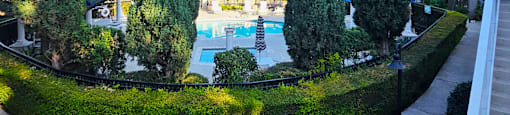 A pool surrounded by a green hedge and trees.