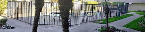 A black iron fence surrounds a concrete patio with two palm trees.