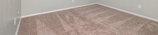 a bedroom with carpet and a window