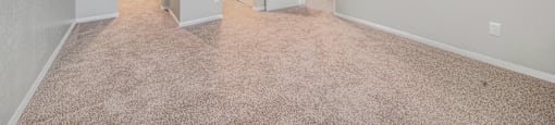 a bedroom with a carpeted floor