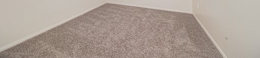 a bedroom with white walls and carpet