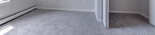 Bedroom with grey carpet and a large closet