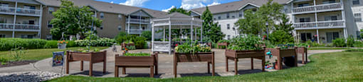 Community Garden