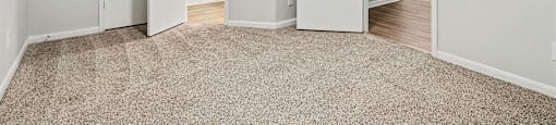 A white room with a carpeted floor and a doorway leading to another room.