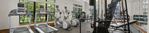 the gym at 1861 muleshoe road in dallas