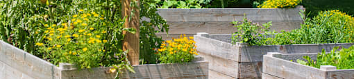 Community Garden