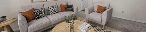 Standard Living Room Staged
