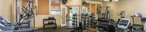 A gym with treadmills, exercise bikes, and other equipment.