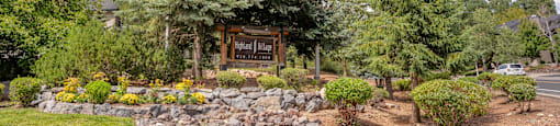 A sign that says "Welcome" is in front of some trees.