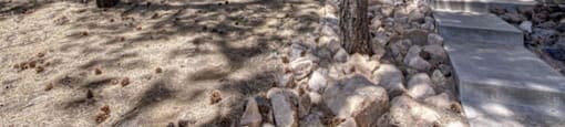 Green Spaces With Mature Trees at Highland Village Apartments, Flagstaff, AZ, 86001