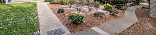 the preserve at ballantyne commons apartments walkway and yard