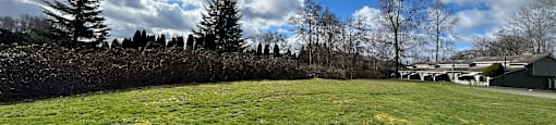 Large fields for playing and relaxing outdoors