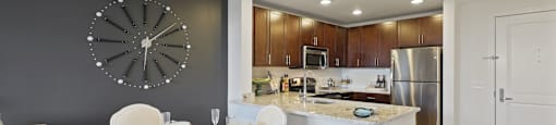 Modern Kitchen and LIving Room at Aurora in North Bethesda, MD 20852