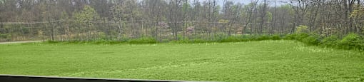 Peaceful exterior lawn view at Sandhurst Apartments, Ohio, 43701