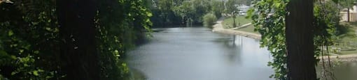 A river flows through a lush green forest.