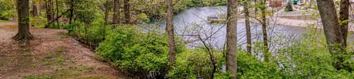 A path with green trees on the side of a river.