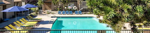 A pool surrounded by chairs and trees with a building in the background.