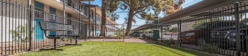 A grassy area in front of a building with a tree and a fence.