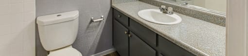 A bathroom with a toilet, sink, and mirror.