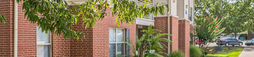 A tree branch is in the foreground of a building with a brick facade.