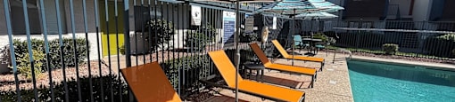 A row of sun loungers are on the edge of a pool.
