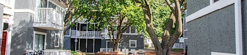 A tree in a courtyard surrounded by buildings.