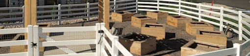 Pinyon Pointe Apartments | Loveland, CO | Garden