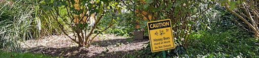 Honey Bees at Work-Bee Hives