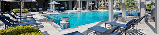 A pool area with lounge chairs and a palm tree.