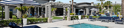 A pool area with sun loungers and a palm tree.