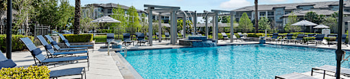 A pool surrounded by lounge chairs and umbrellas with a palm tree in the background.