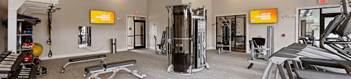 A gym with treadmills, weights, and exercise equipment.