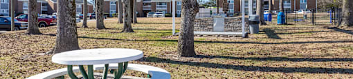 Picnic Area at Tiffany Square, North Carolina