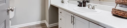 Bathroom with vanity at Preserve  at Mill Creek, Georgia