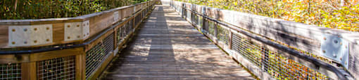 Ivy Creek Greenway Nature Walk, at Preserve at Mill Creek, Buford, GA 30519